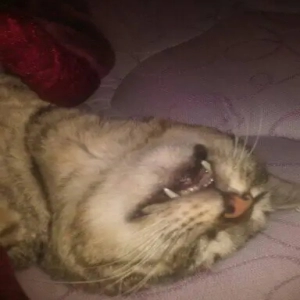 Publicado por @barby