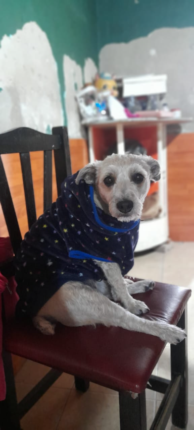 Hermosa layka🥰🥰🥰🥰🥰🥰🥰